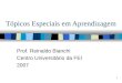 1 Tópicos Especiais em Aprendizagem Prof. Reinaldo Bianchi Centro Universitário da FEI 2007
