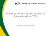 Novas experiências em Auditoria Operacional no TCU Salvador, novembro de 2008