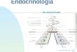 Ir p/ primeira página Endocrinologia da reprodução