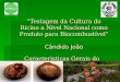 Testagem da Cultura do Rícino a Nível Nacional como Produto para Biocombustível Cândido João Caracteristicas Gerais do Rícino Caracteristicas Gerais do