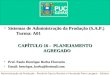 Administração da Produção - Petrônio Garcia Martins e Fernando Piero Laugeni – Editora Saraiva 10 Planejamento Agregado Sistemas de Administração da Produção