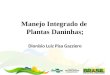 Manejo Integrado de Plantas Daninhas; Dionísio Luiz Pisa Gazziero