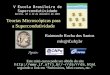 Teorias Microscópicas para a Supercondutividade Raimundo Rocha dos Santos rrds@if.ufrj.br rrds/rrds.html Apoio: Este mini-curso