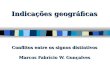 Indicações geográficas Conflitos entre os signos distintivos Marcos Fabrício W. Gonçalves