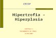 Hipertrofia – Hiperplasia CÁPÍTULO 1 TREINAMENTO DE FORÇA 15/08/2007 Bruna Brasil Brandão CECOF