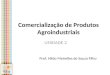 Comercialização de Produtos Agroindustriais Prof. Hildo Meirelles de Souza Filho UNIDADE 2