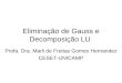 Eliminação de Gauss e Decomposição LU Profa. Dra. Marli de Freitas Gomes Hernandez CESET-UNICAMP
