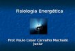 Fisiologia Energética Prof. Paulo Cesar Carvalho Machado Junior