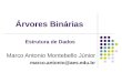 Árvores Binárias Marco Antonio Montebello Júnior marco.antonio@aes.edu.br Estrutura de Dados