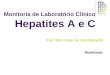 Prof. Nilo César do Vale Baracho Monitoras: Monitoria de Laboratório Clínico Hepatites A e C