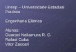 Unesp – Universidade Estadual Paulista Engenharia Elétrica Alunos: Guaraci Nakamura R. C. Rafael Cuba Vitor Zaccari