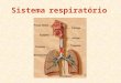 Sistema respiratório. Função do sistema respiratório: Retirar o oxigênio do ambiente e eliminar o gás carbônico. Tipos de respiração Respiração orgânica
