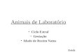 Animais de Laboratório Ciclo Estral Gestação Idade de Recém Natos Erick