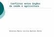 Conflitos entre órgãos da saúde e agricultura Conflitos entre órgãos da saúde e agricultura Diretora Maria Cecília Martins Brito