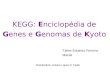 KEGG: Enciclopédia de Genes e Genomas de Kyoto Talles Eduardo Ferreira Maciel Orientadora: Juliana Lopes R. Fietto