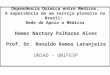 Dependência Química entre Médicos. A experiência de um serviço pioneiro no Brasil: Rede de Apoio a Médicos Hamer Nastasy Palhares Alves Prof. Dr. Ronaldo