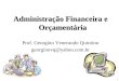 1 Administração Financeira e Orçamentária Prof. Georgino Venerando Quintino georginovq@yahoo.com.br