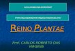 R EINO P LANTAE Prof. CARLOS ROBERTO DAS VIRGENS ESCOLA ANGELINA JAIME TEBET