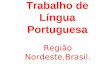 Trabalho de Língua Portuguesa Região Nordeste,Brasil