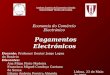 Instituto Superior de Economia e Gestão Universidade Técnica de Lisboa Economia do Comércio Electrónico Pagamentos Electrónicos Docente: Professor Doutor