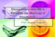 Desenvolvimento e Gestão de Marcas e Produtos Prof. Wagner Andrade