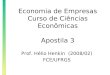 Economia de Empresas Curso de Ciências Econômicas Apostila 3 Prof. Hélio Henkin (2008/02) FCE/UFRGS
