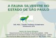 A FAUNA SILVESTRE NO ESTADO DE SÃO PAULO Biól. MSc. Claudia Terdiman Schaalmann Diretora do CFS Centro de Fauna Silvestre Departamento de Proteção da Biodiversidade