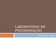 LABORATÓRIO DE PROGRAMAÇÃO Renato O. Violin. Organização de computadores Linguagens de programação Ambientes de desenvolvimento Introdução à Programação