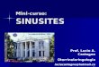 Mini-curso: SINUSITES Prof. Lucio A. Castagno Otorrinolaringologia luciocastagno@hotmail.com