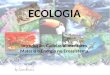 ECOLOGIA Introdução, Cadeias alimentares, Matéria e Energia no Ecossistema