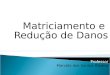 Matriciamento e Redução de Danos Professor Marcelo dos Santos Ribeiro