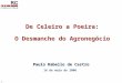 1 De Celeiro a Poeira: O Desmanche do Agronegócio De Celeiro a Poeira: O Desmanche do Agronegócio 16 de maio de 2006 Paulo Rabello de Castro