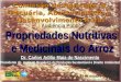 Dr. Carlos Adilio Maia do Nascimento Presidente do Instituto Brasileiro de Produção Sustentável e Direito Ambiental IBPS Propriedades Nutritivas e Medicinais
