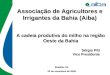 Associação de Agricultores e Irrigantes da Bahia (Aiba) A cadeia produtiva do milho na região Oeste da Bahia Sérgio Pitt Vice Presidente Brasília, DF