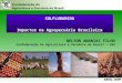 Novembro – 2008 SULFLURAMIDA Impactos na Agropecuária Brasileira SULFLURAMIDA Impactos na Agropecuária Brasileira NELSON ANANIAS FILHO Confederação da