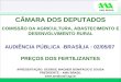 AMA BRASIL CÂMARA DOS DEPUTADOS COMISSÃO DA AGRICULTURA, ABASTECIMENTO E DESENVOLVIMENTO RURAL AUDIÊNCIA PÚBLICA -BRASÍLIA : 02/05/07 PREÇOS DOS FERTILIZANTES