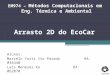 EM974 – Métodos Computacionais em Eng. Térmica e Ambiental Arrasto 2D do EcoCar Alunos: Marcelo Yoiti Ito Parada RA: 034440 Laís Menezes KoRA: 062070