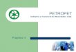 PETROPET Indústria e Comércio de Reciclados Ltda. Projetos II
