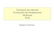 Estrutura da Internet Protocolos de Roteamento Multicast IPv6 Edgard Jamhour