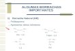 ALGUMAS BORRACHAS IMPORTANTES 1)Borracha Natural (NR) Poliisopreno Apresenta vários isômeros Cis - 1,4 Trans - 1,4 1,2 3,4