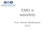 EMG e wavelets Prof. Heinar Weiderpass 2010. Diabetes Neuropatia (polineuropatia distal) Formigamento, dormência, queimação (pés, mãos) Fraqueza, atrofia