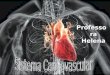 Professora Helena. Sistema Cardiovascular É o responsável pela condução, distribuição e remoção das mais diversas substâncias para os tecidos do corpo,