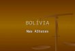 BOLÍVIA Nas Alturas. Bolívia Dados Gerais; Dados Gerais; Área : 1.098.581 km2 Área : 1.098.581 km2 População : 10,1 milhões População : 10,1 milhões Composição