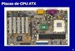 Placas de CPU ATX 1 Sockets para Pentium 4 423 775 478 1366