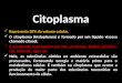 Citoplasma Representa 50% do volume celular. O citoplasma (hialoplasma) é formado por um líquido viscoso chamado citosol; É constituído basicamente por