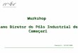 Workshop Plano Diretor do Pólo Industrial de Camaçari Camaçari, 12/05/2008