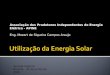 Associação dos Produtores Independentes de Energia Elétrica - APINE Eng. Mozart de Siqueira Campos Araujo Senado Federal Brasilia, 30 de Junho de 2009