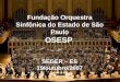 1 Fundação Orquestra Sinfônica do Estado de São Paulo OSESP SEGER – ES 19/outubro/2007
