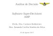 Análise de Decisão Software SuperDecisions AHP Profa. Dra. Carmen Belderrain Dra. Amanda Cecília Simões da Silva 03 de Agosto 2013