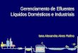 Gerenciamento de Efluentes Líquidos Domésticos e Industriais Iana Alexandra Alves Rufino